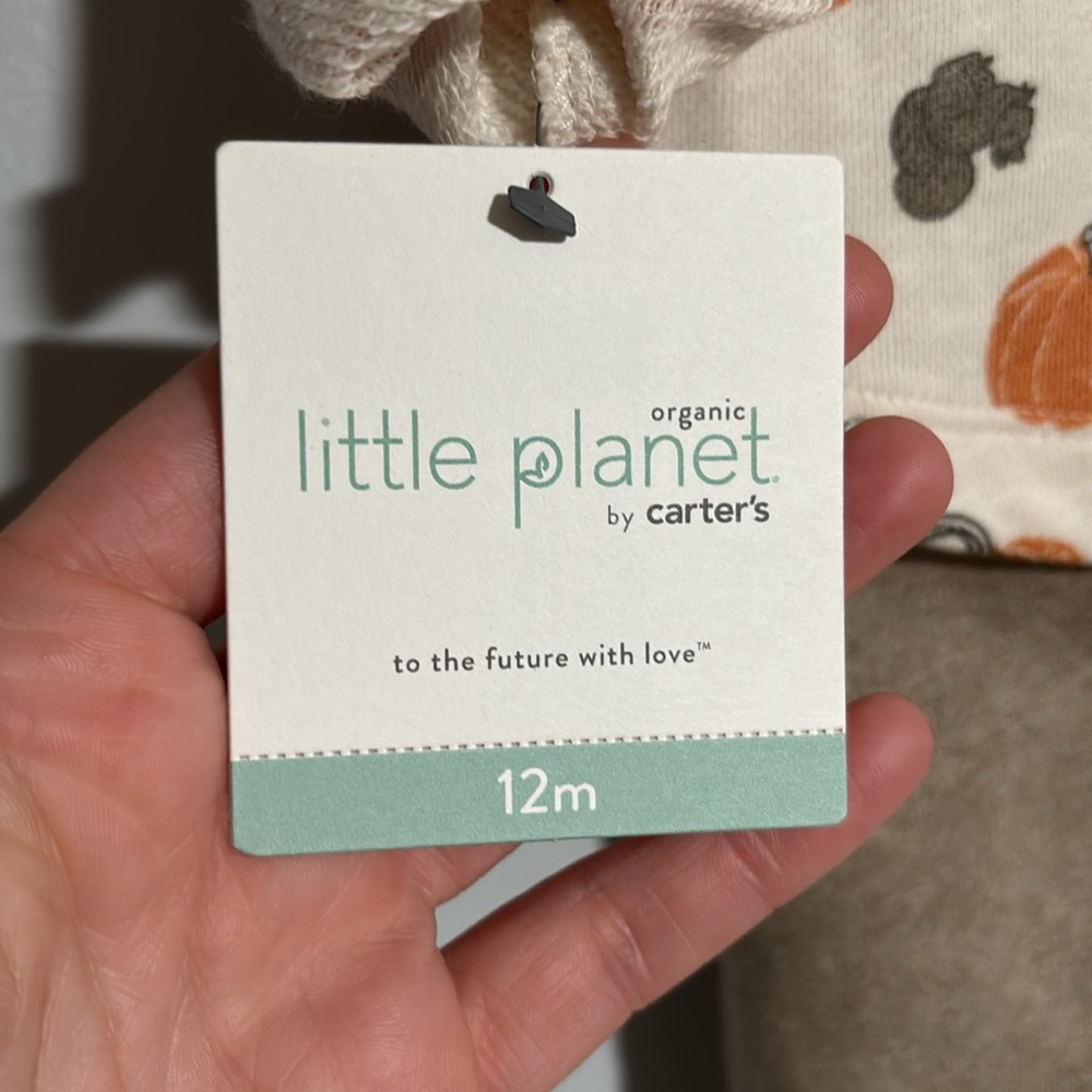 Little Planet by Carters size 12M Fall Pumpkin 2 piece outfit - Picture 3 of 6